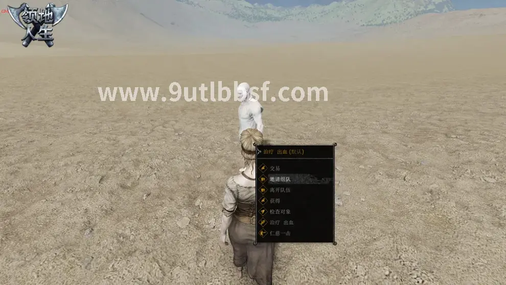 天龙八部私服副本